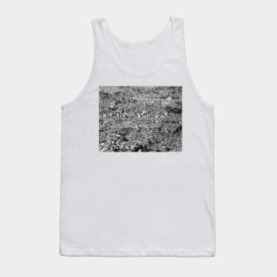 La Pez Bolivia from 12000 ft. Tank Top